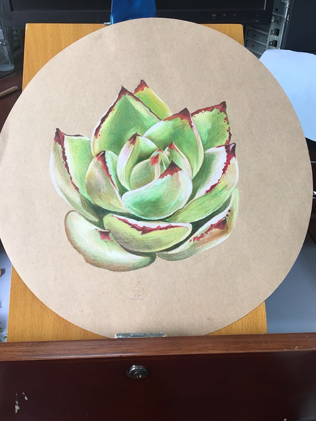 彩铅牛皮纸多肉