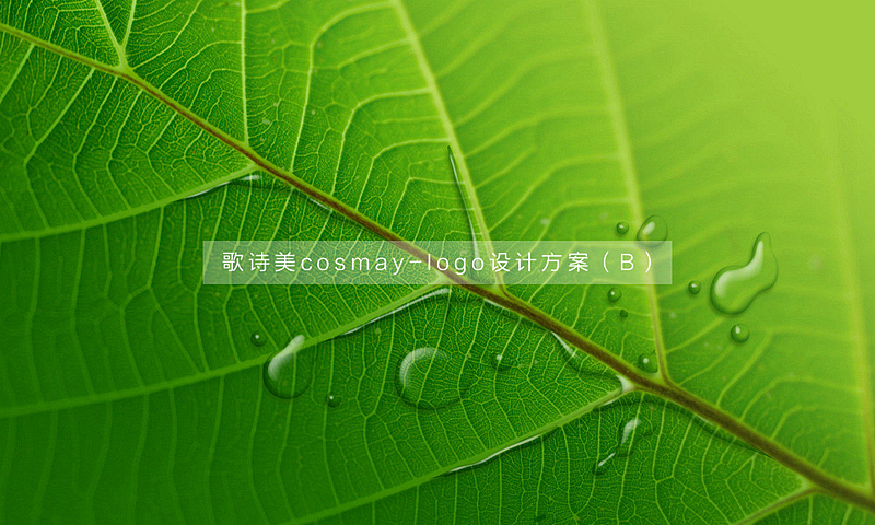 一大堆LOGO设计的飞机稿（图ZMjI0NTA1NDA=） - Logo - 站酷设计师刘兵克原创素材 - 站酷ZCOOL