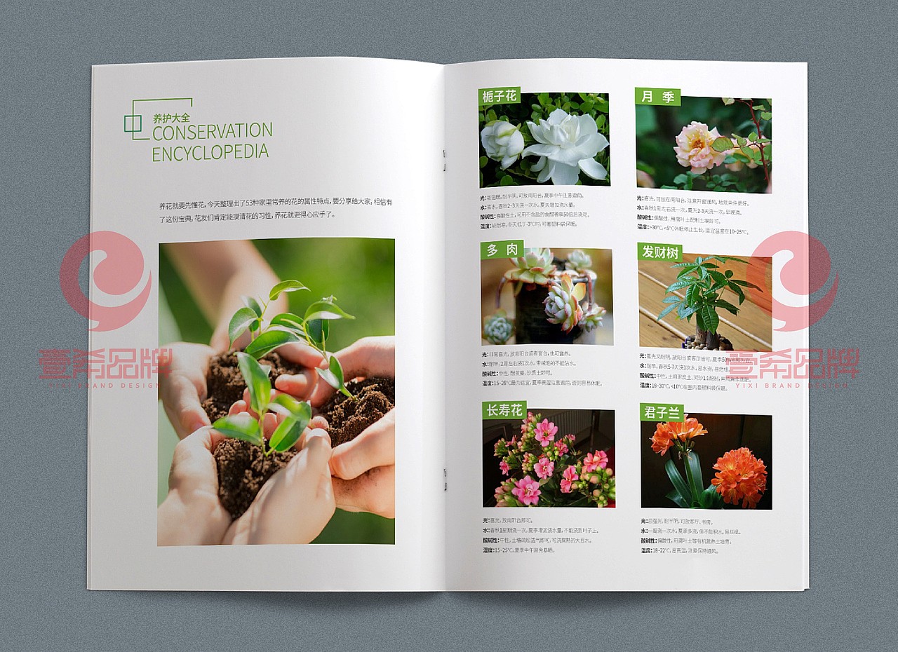 一希品牌设计-禄丰高远商贸有限公司宣传册设计