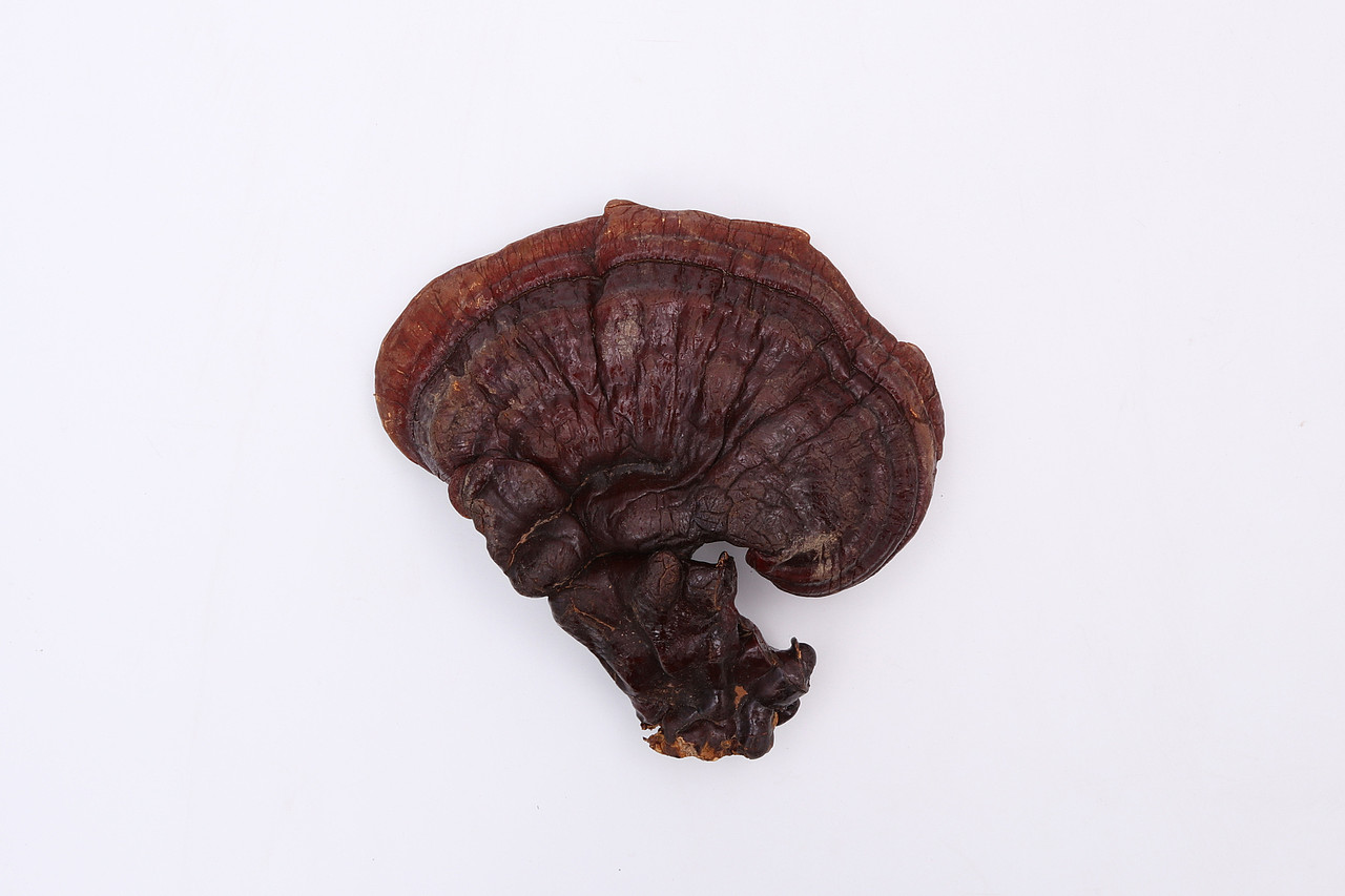 B03传统滋补品\C01-农产滋补品\V10灵芝X1-QM