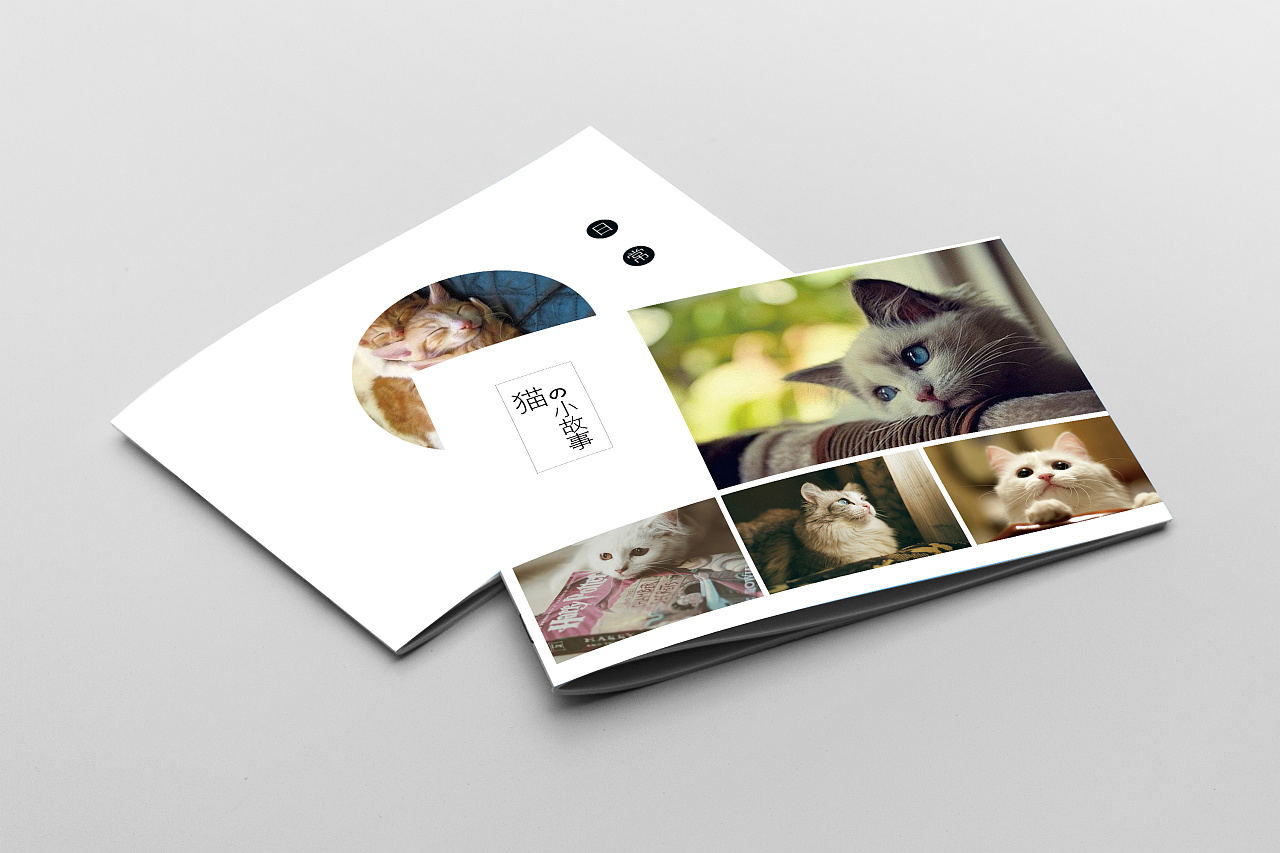 宠物画册