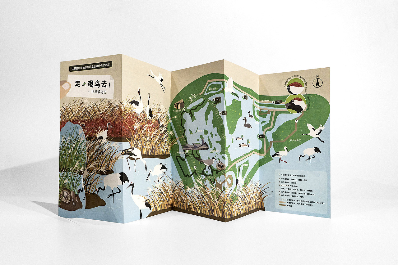 世界候鸟日-观候鸟折页及海报(图ZMjYzNDk3NDI4) - 宣传物料 - 站酷设计师tofu豆腐原创素材 - 站酷ZCOOL