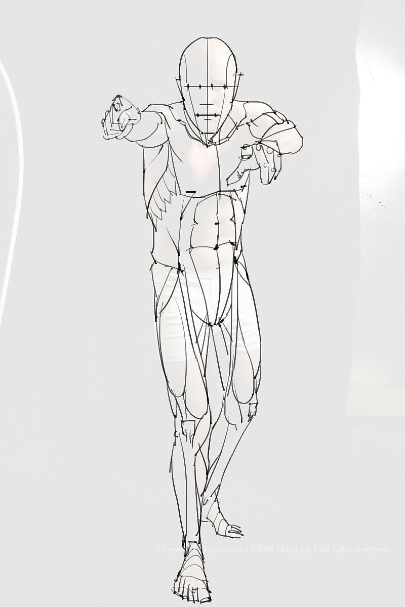 「素材」分享一波绘画专用人体解剖素材 part 10