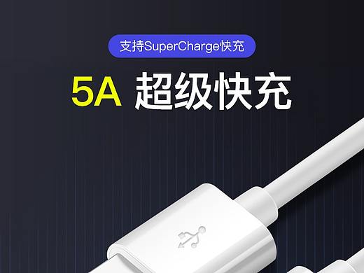 5A紫色TYPE-C单头数据线【详情页】