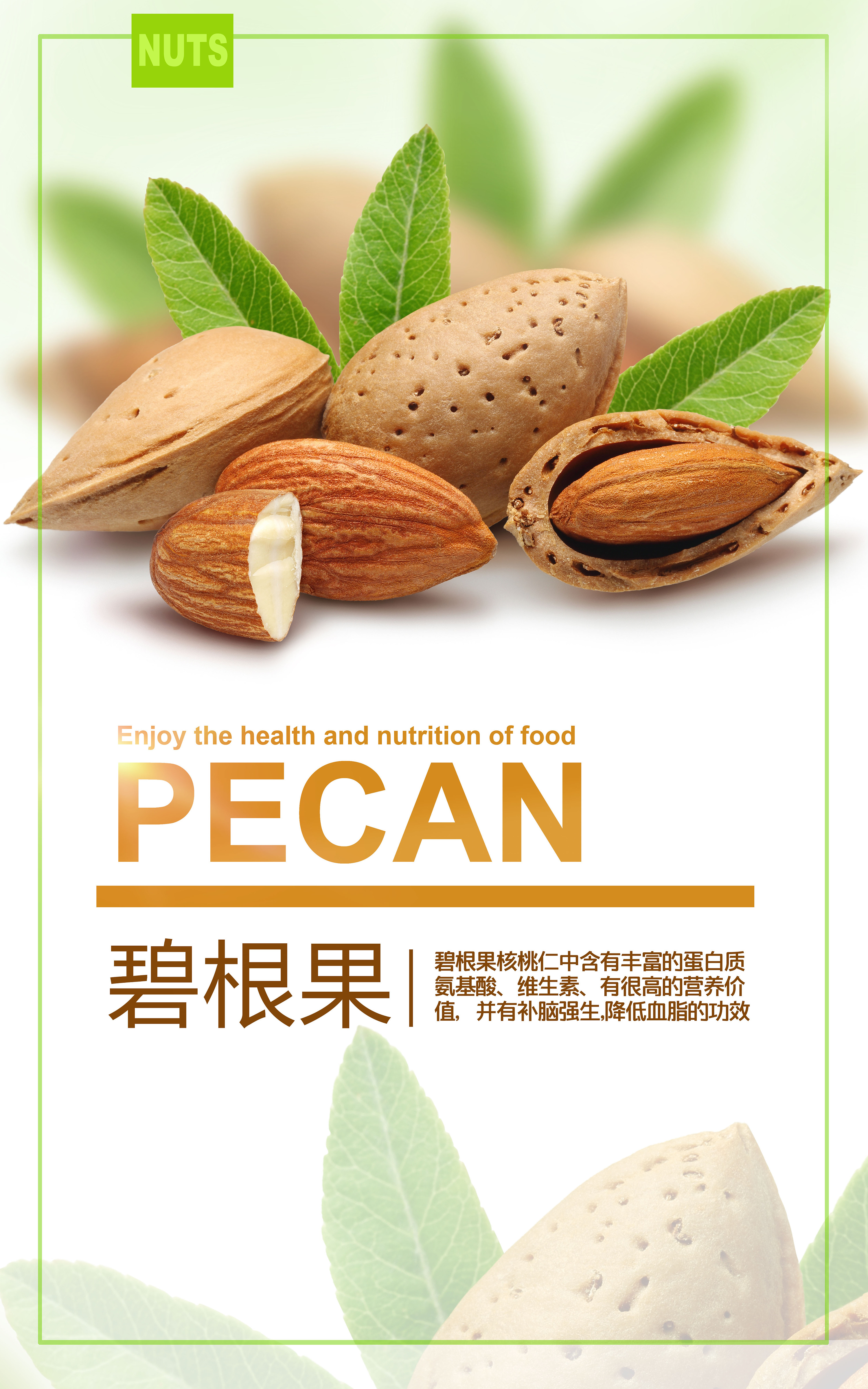 《坚果海报设计》