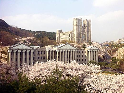 樱花时节（个人主页-ZMzc4Nzk4NzY=） - 风光摄影 - 站酷设计师Missroc原创素材 - 站酷ZCOOL