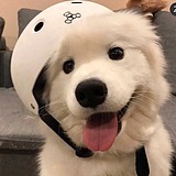 妙呀的头像