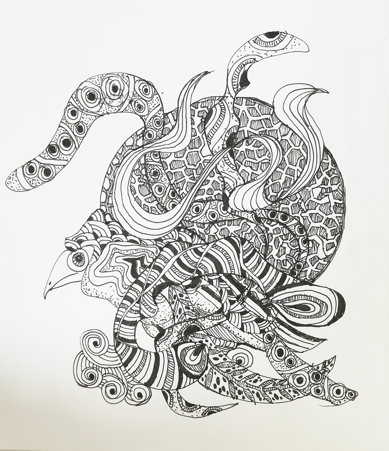 缠绕练习 |插画|新锐潮流插画|amoy张小旭 - 原创作品 - 站酷 (zcool)