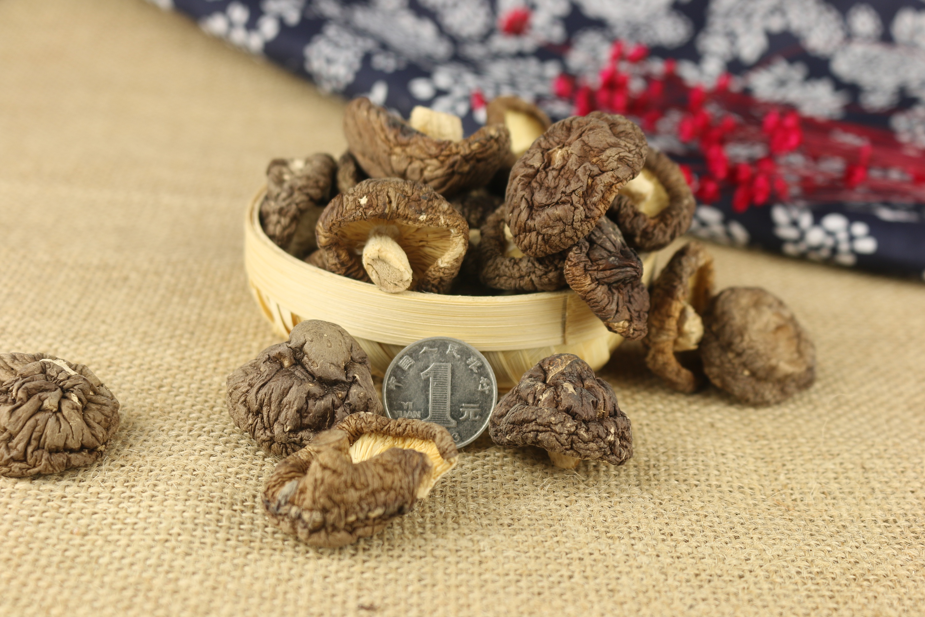 食品拍摄案例 山珍干货 香菇拍摄