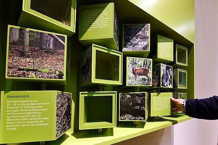 展厅设计中创意十足的物理互动装置