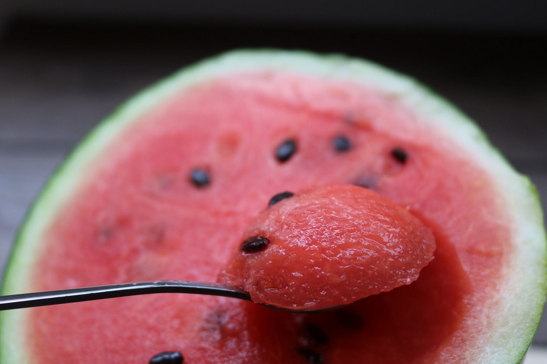 黑美人西瓜|摄影|静物|邱公城 - 原创作品 - 站酷 (zcool)
