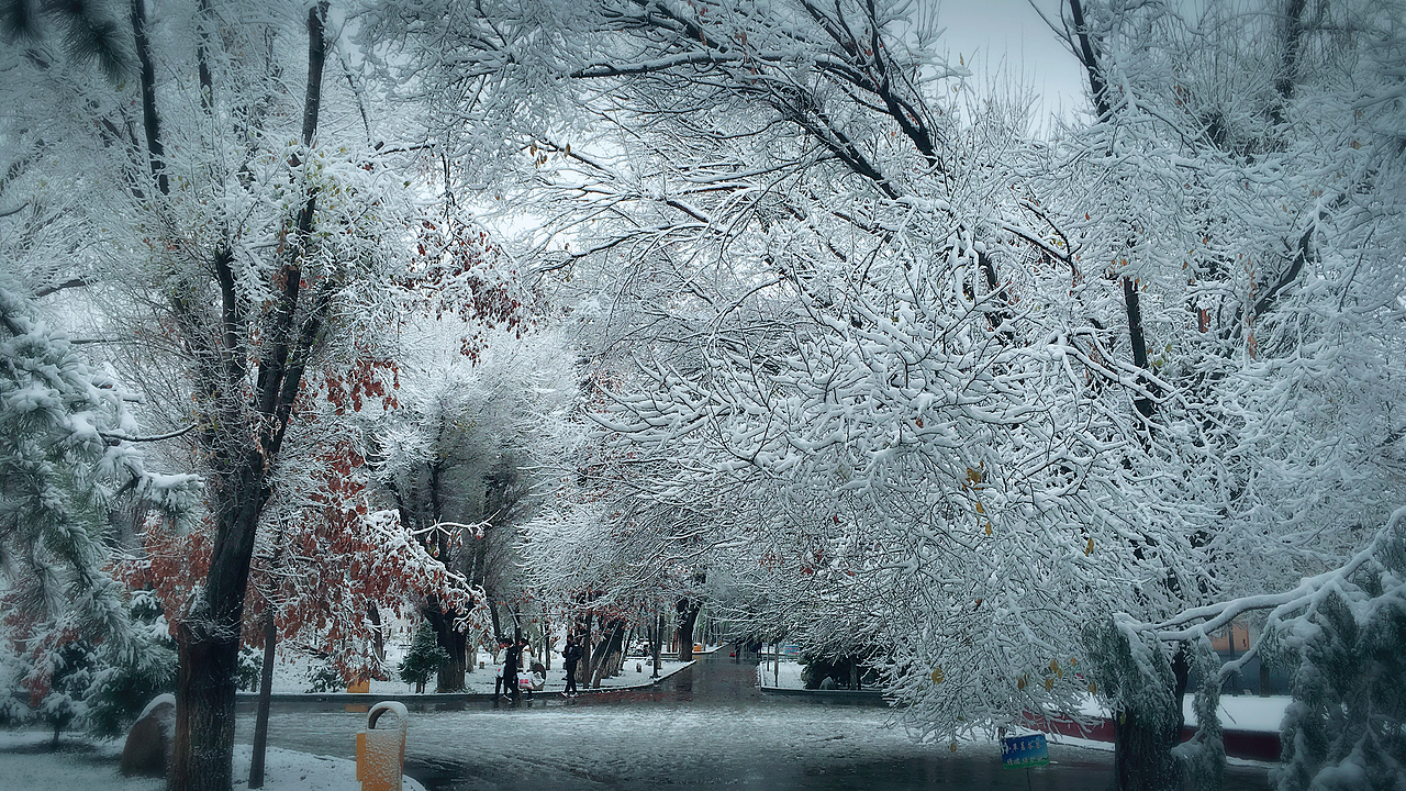 大美伊犁（圖ZMTExOTA5NTY0） - 環(huán)境/建筑攝影 - 站酷設(shè)計(jì)師白冥大人原創(chuàng)素材 - 站酷ZCOOL