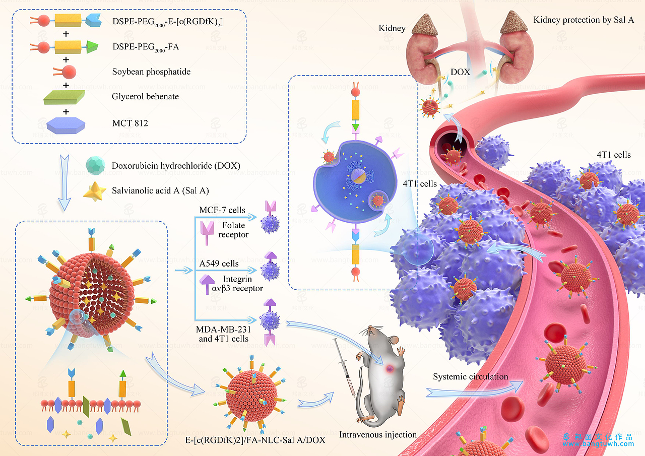 杂志封面设计服务 作品展示