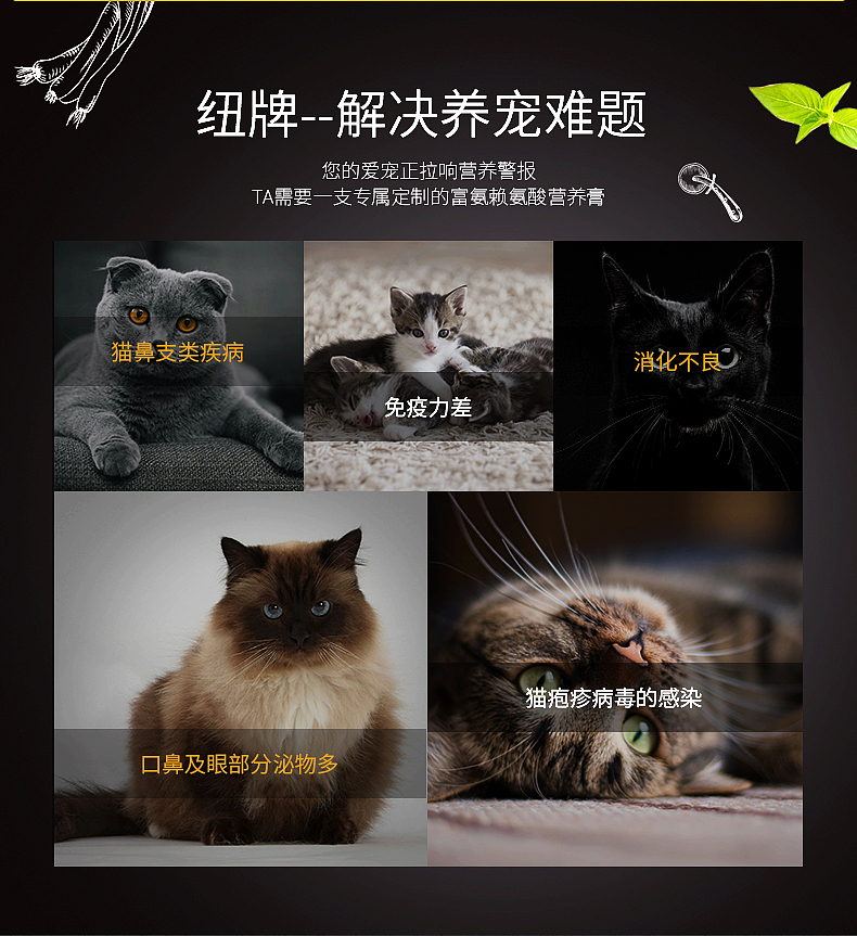 宠物膏剂（图ZMTE3MTM0OTYw） - 电商 - 站酷设计师卡路里away原创素材 - 站酷ZCOOL