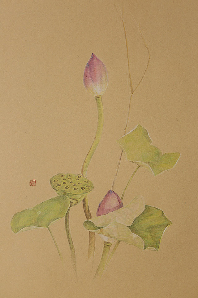 花镜--插花与手绘的新结合