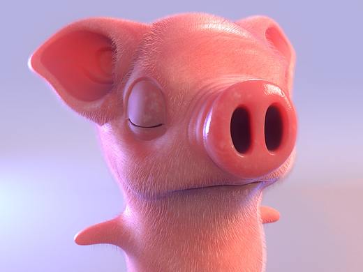 《皮皮猪的梦想》设定