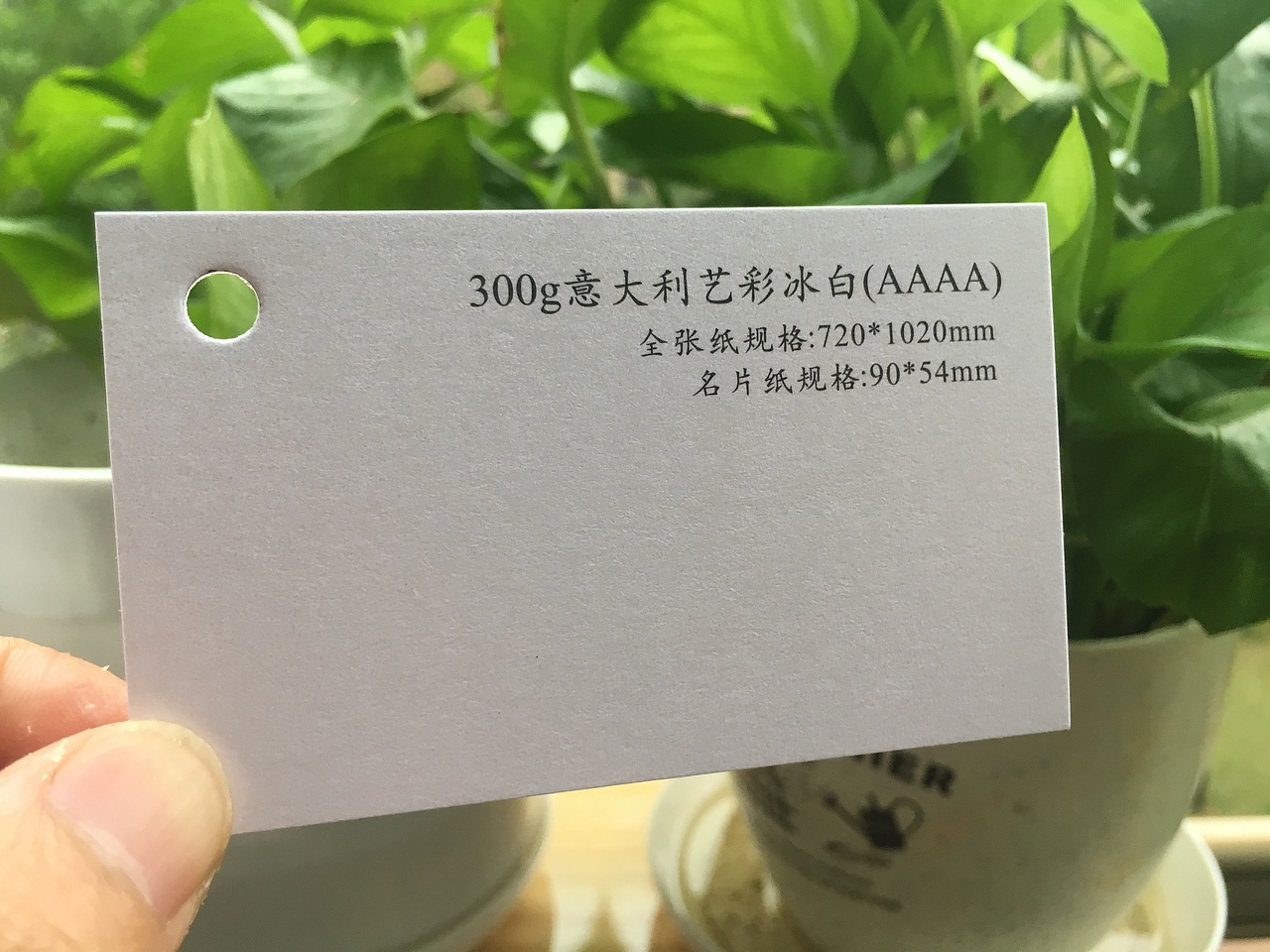 2019款特种纸艺术纸实物展示样册