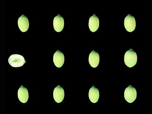 游进西湖摘一朵莲蓬过夏天 