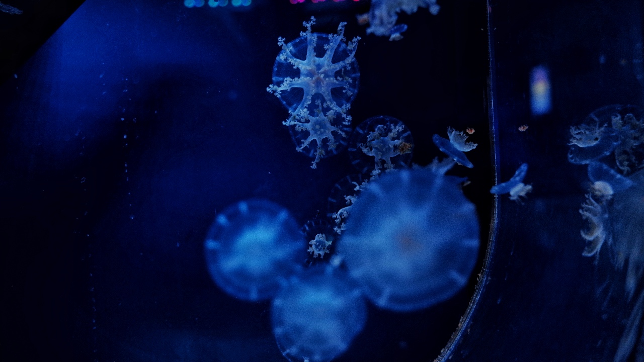 木可可丶的個人主頁（封面預覽） - 主頁封面設(shè)置 - 站酷設(shè)計師木可可丶原創(chuàng)素材 - 站酷ZCOOL