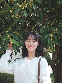 秋天是倒放的春天     