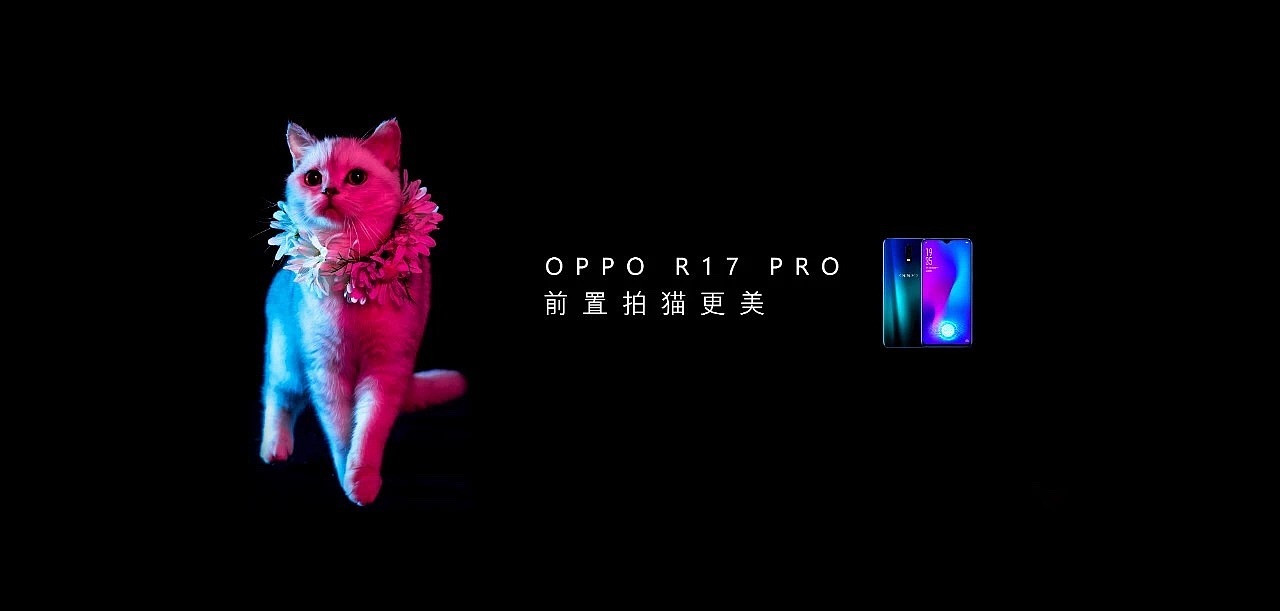 宠物摄影|（图ZMTQ3MTIwMTM2） - 宠物摄影 - 站酷设计师LUCKY宠物摄影原创素材 - 站酷ZCOOL