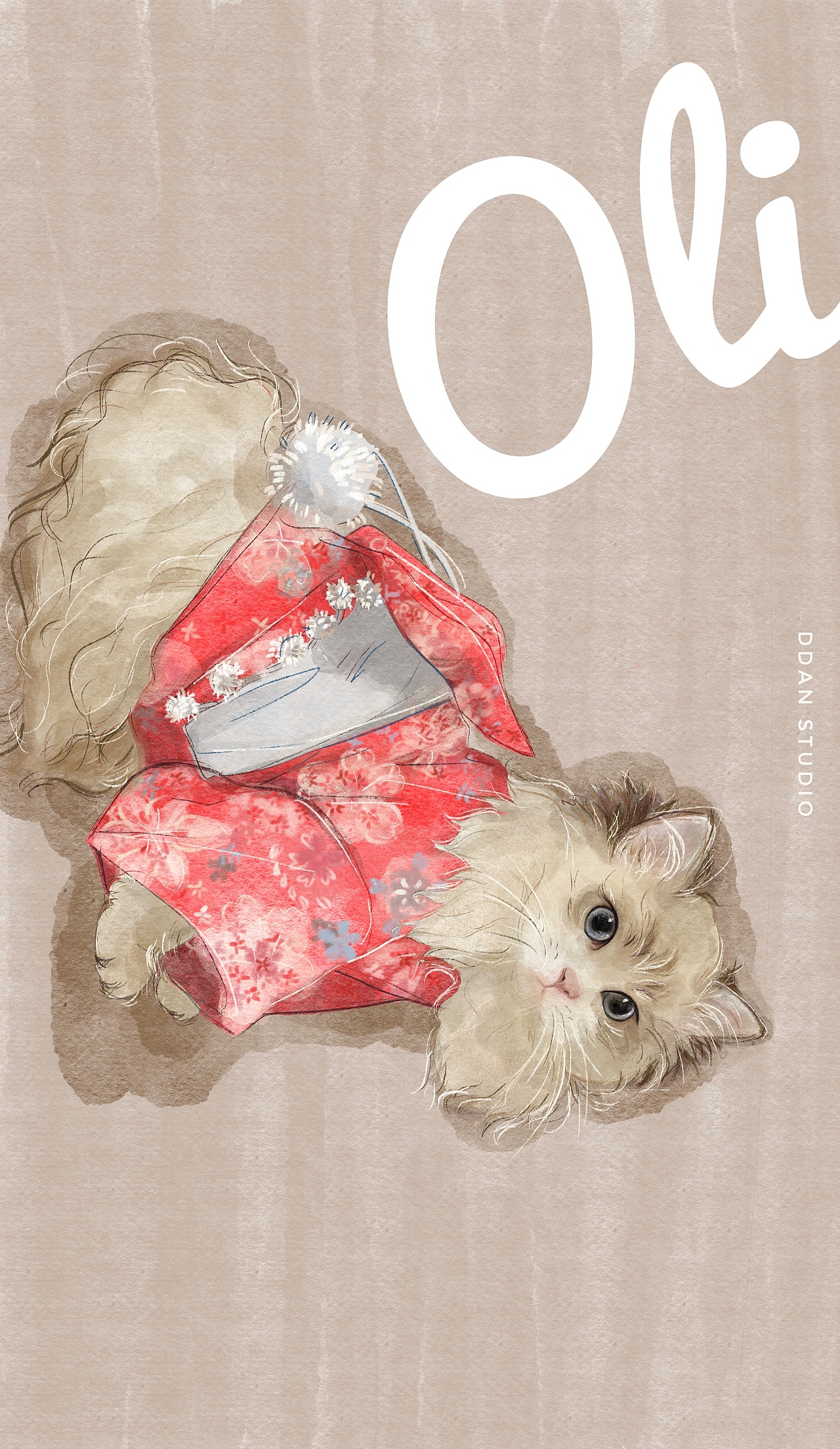 旦旦的猫仔们#2020年终猫猫合集#