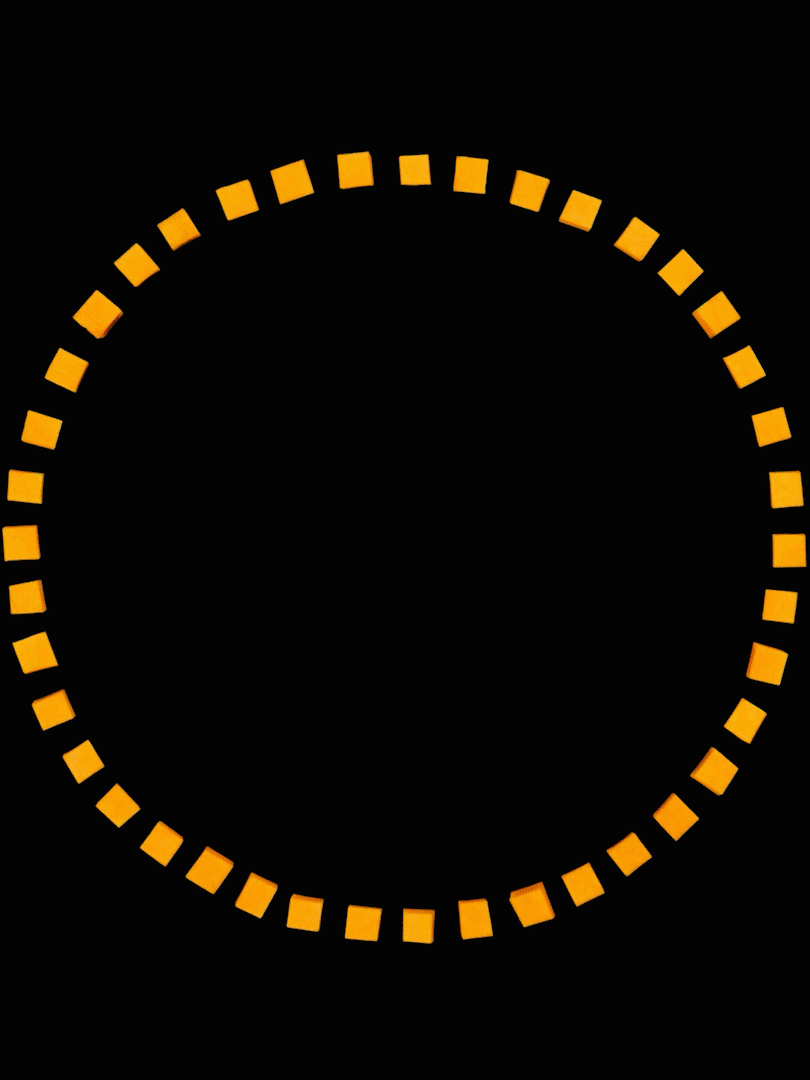 中宠顽皮冻干四拼全价犬粮竖版电商短视频