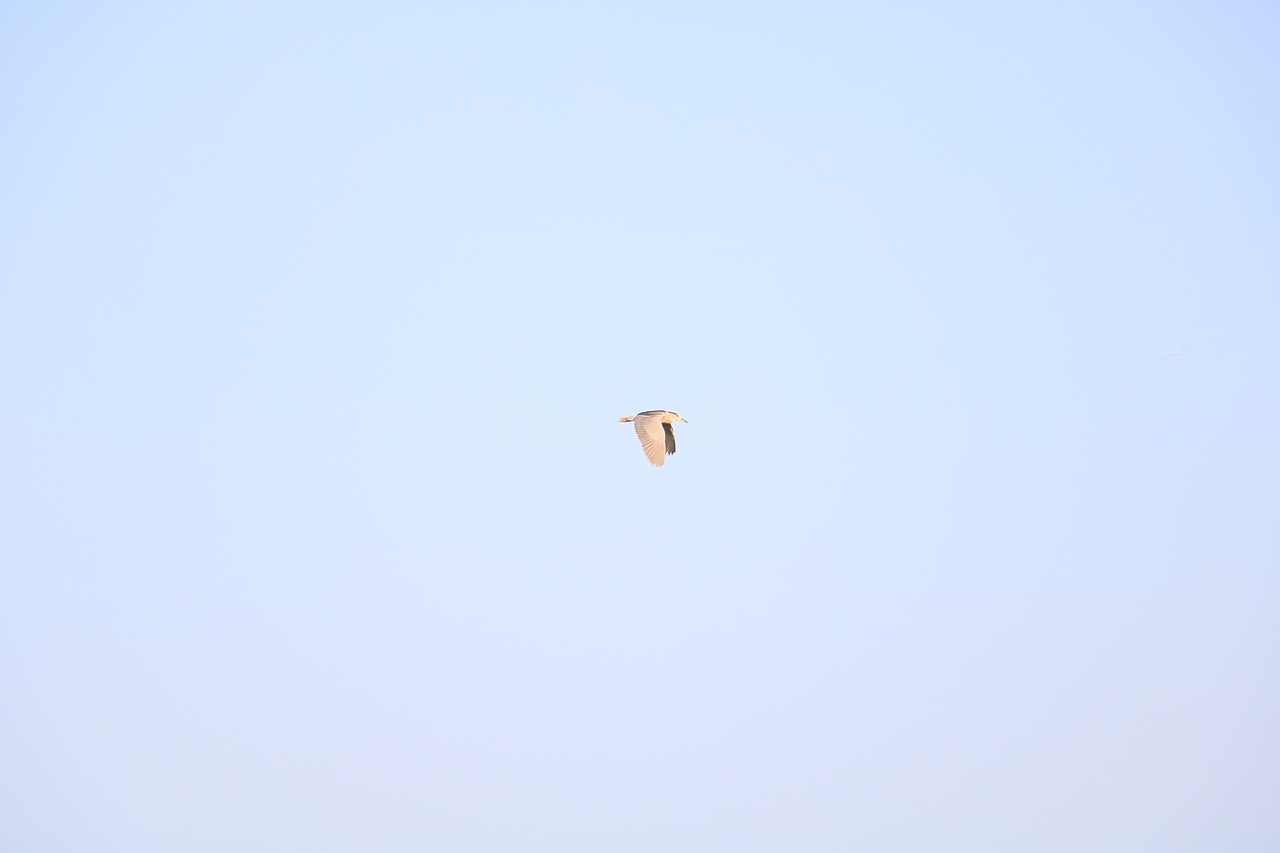 仰望天空（图ZMjY0MDE0NzAw） - 风光摄影 - 站酷设计师多缤设计原创素材 - 站酷ZCOOL