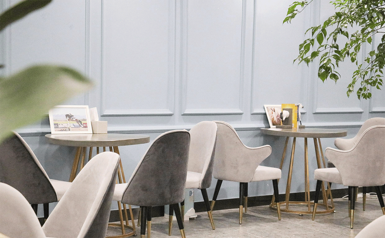 骑际马术学院丨ABD案例（图ZMTQxMTY0NDEy） - 品牌 - 站酷设计师ABD品牌策略设计原创素材 - 站酷ZCOOL