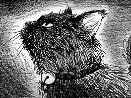 小黑猫发呆的故事