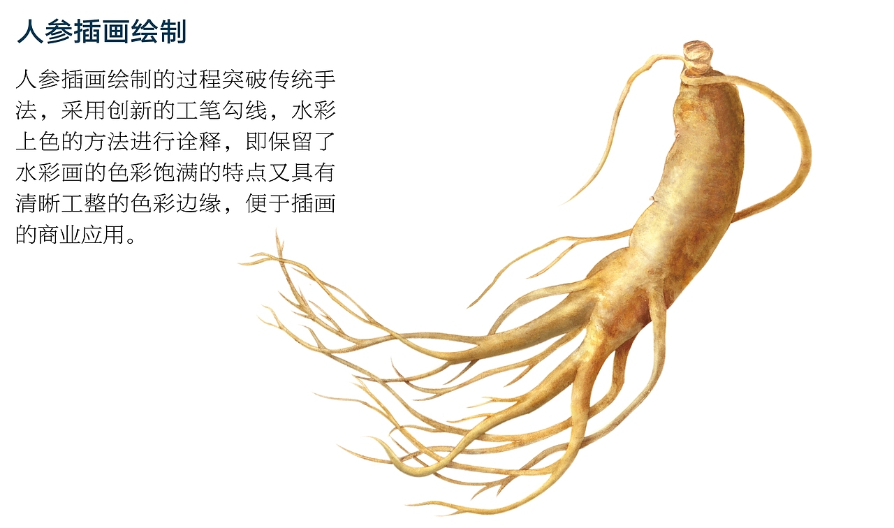 人参饼干系列包装插画（图ZMTAyODQxMTMy） - 商业插画 - 站酷设计师云兮艺术原创素材 - 站酷ZCOOL