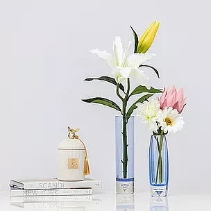 为美国奢侈香薰品牌定制《小鸟罐香薰系列》（图ZMjkzNDczMDM2） - 生活用品 - 站酷设计师张小军ROYZHANG原创素材 - 站酷ZCOOL