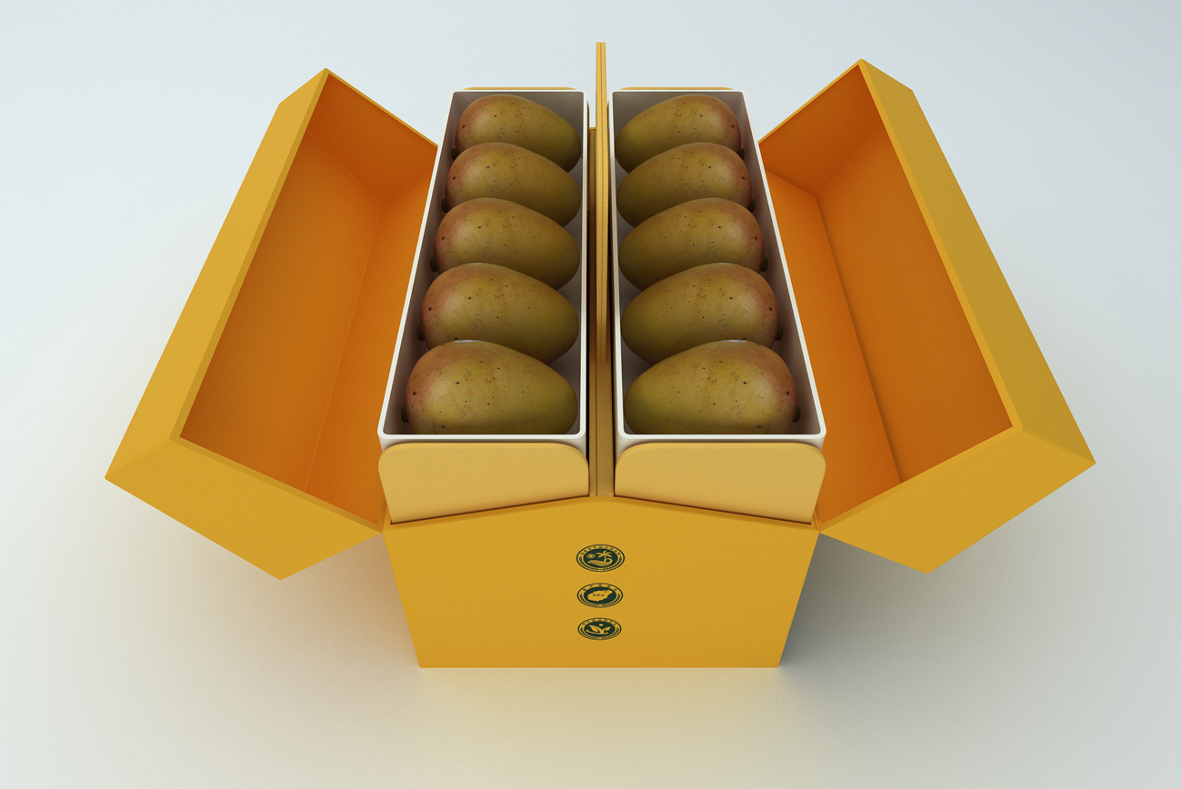 海南芒果&海南火龙果包装设计