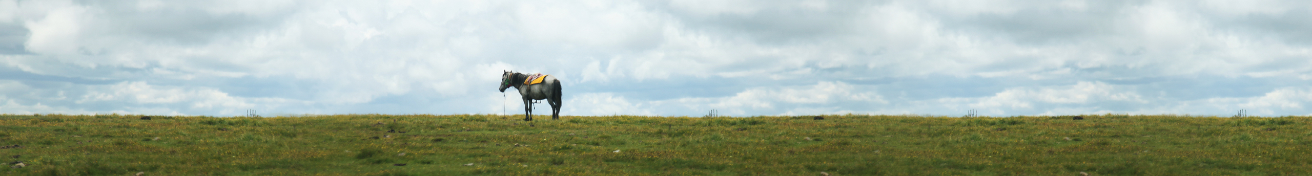 XUYAYA的个人主页（封面预览） - 主页封面设置 - 站酷设计师XUYAYA原创素材 - 站酷ZCOOL