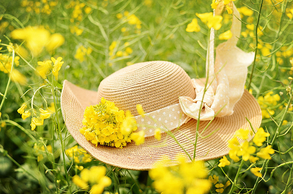 春光烂漫赏花去之油菜花