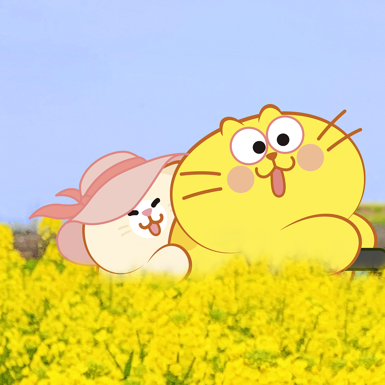 疫情期间在家办公的蛋黄猫噗噗猫的生活记录~ 油菜花如约盛放,清新