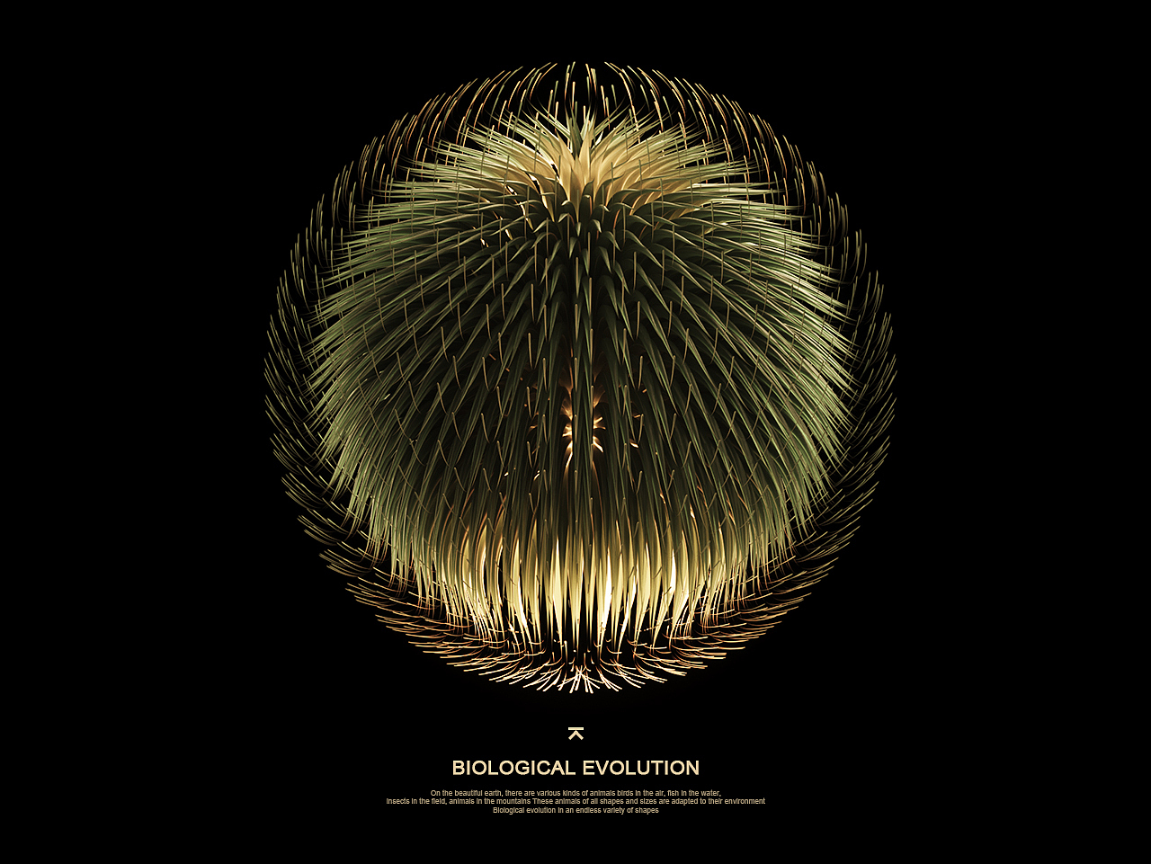 《生物进化Evolution》（图ZMTgwNjgwNTA4） - 人物/生物 - 站酷设计师琉璃小姐姐原创素材 - 站酷ZCOOL