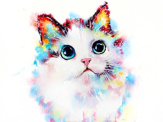 水彩下的猫青年