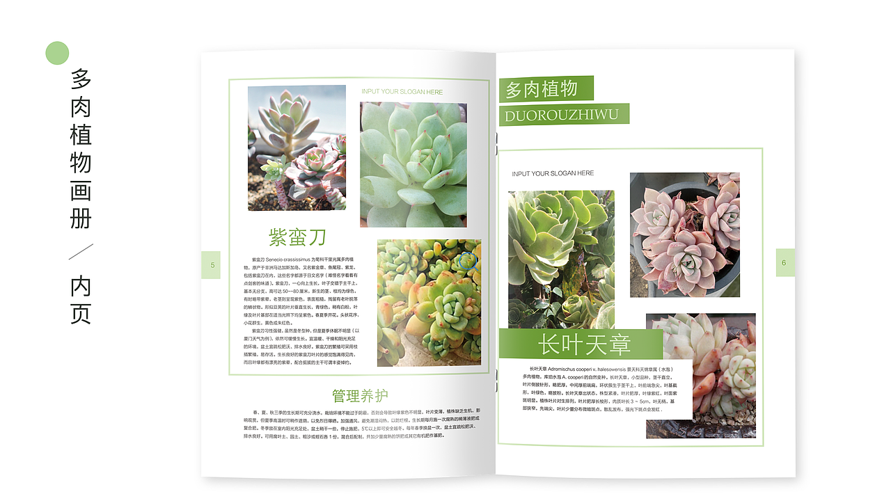 作品集（图ZMTYwOTM4MjQ4） - 其他UI - 站酷设计师Vis慧子原创素材 - 站酷ZCOOL