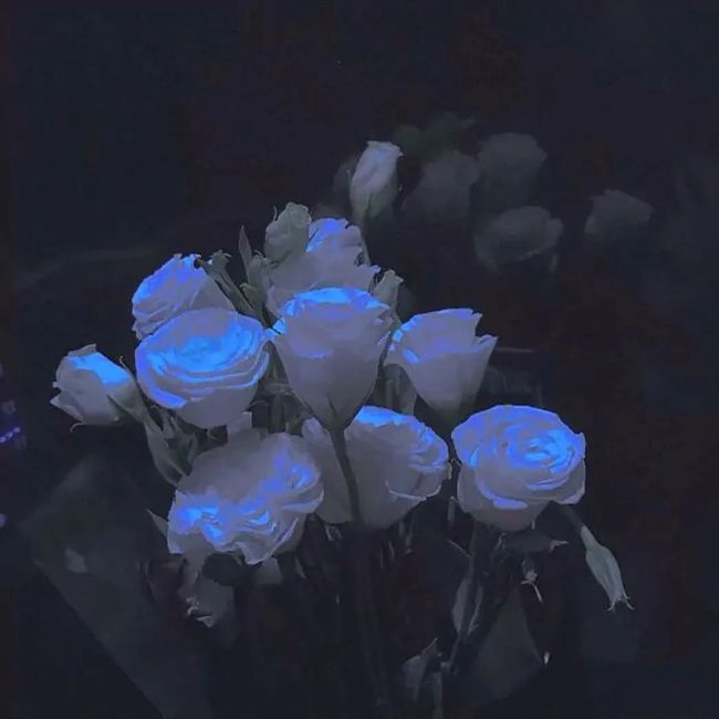 丫头我当女汉子的个人主页（背景预览） - 主页背景设置 - 站酷设计师丫头我当女汉子原创素材 - 站酷ZCOOL