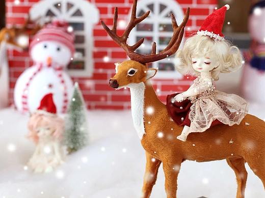 花花姑娘  ✿   圣诞系列