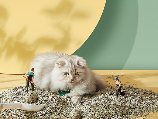喵星人用品