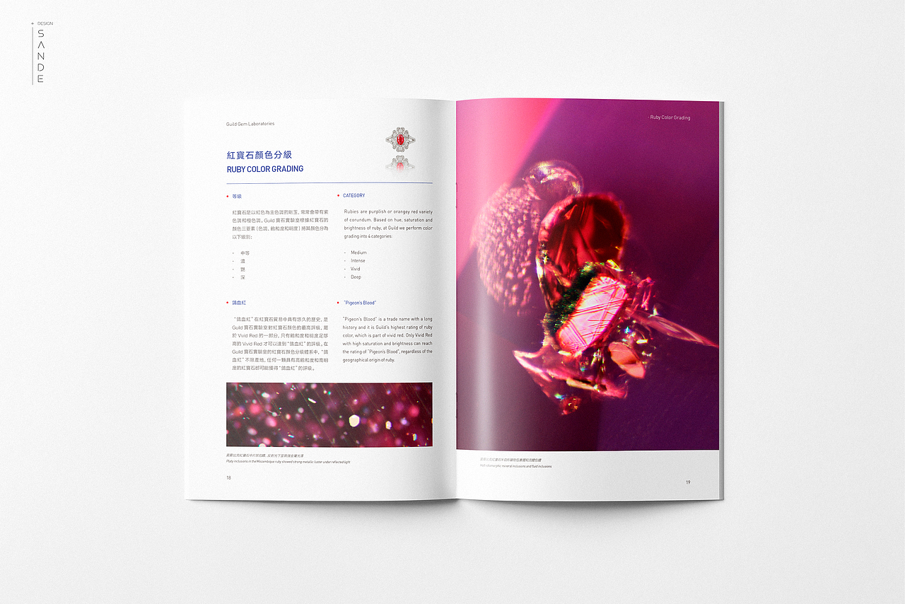 宣传画册/Brochure Update（图ZMTM1MTAzMjM2） - 书籍/画册 - 站酷设计师Sande丨Lau原创素材 - 站酷ZCOOL