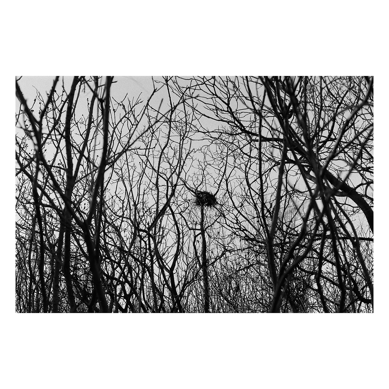 街头胶片摄影｜部分黑白合集 by Leica M6（图ZMjg2NjkzODAw） - 人文/纪实摄影 - 站酷设计师刘小川原创素材 - 站酷ZCOOL