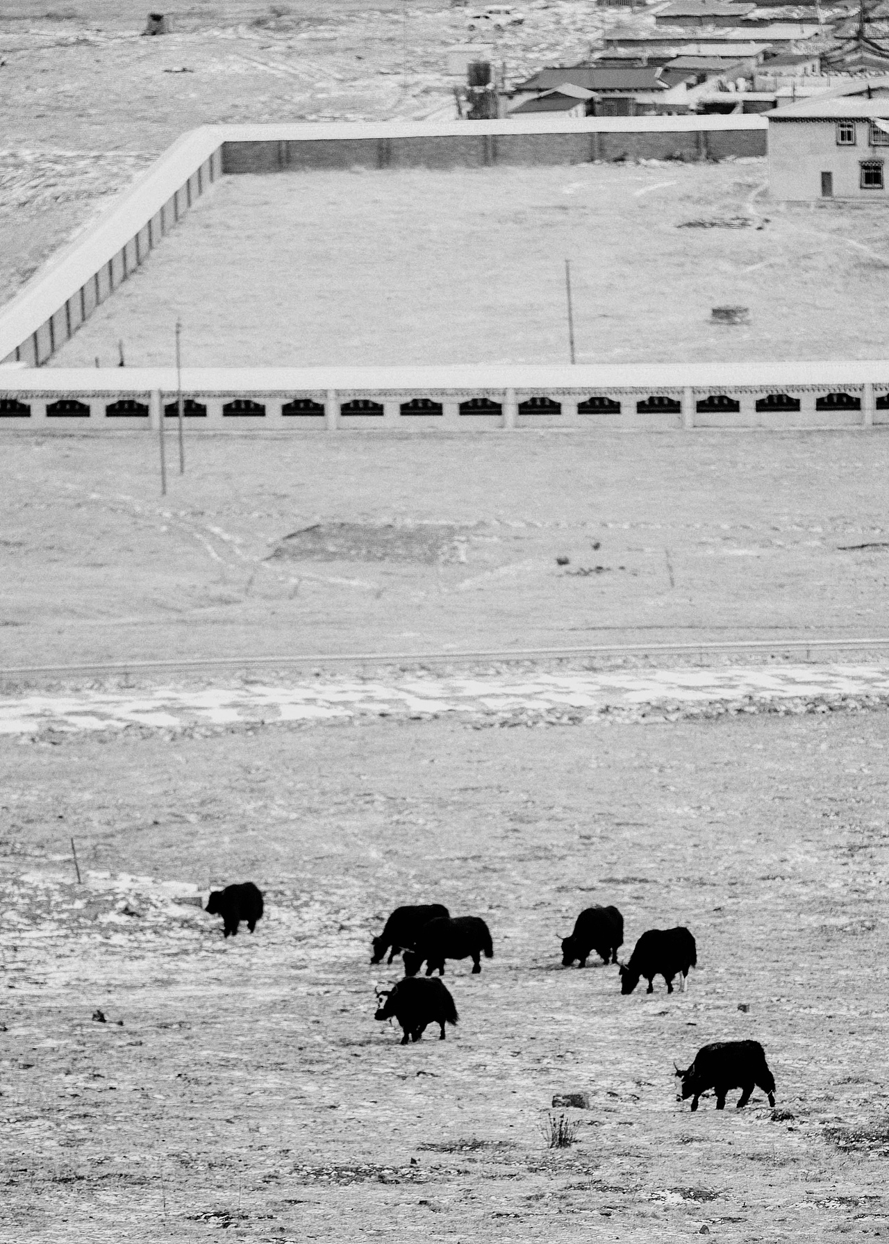 *纪实摄影（图ZMjc4MDA3Nzgw） - 人文/纪实摄影 - 站酷设计师狒狒Aurora原创素材 - 站酷ZCOOL