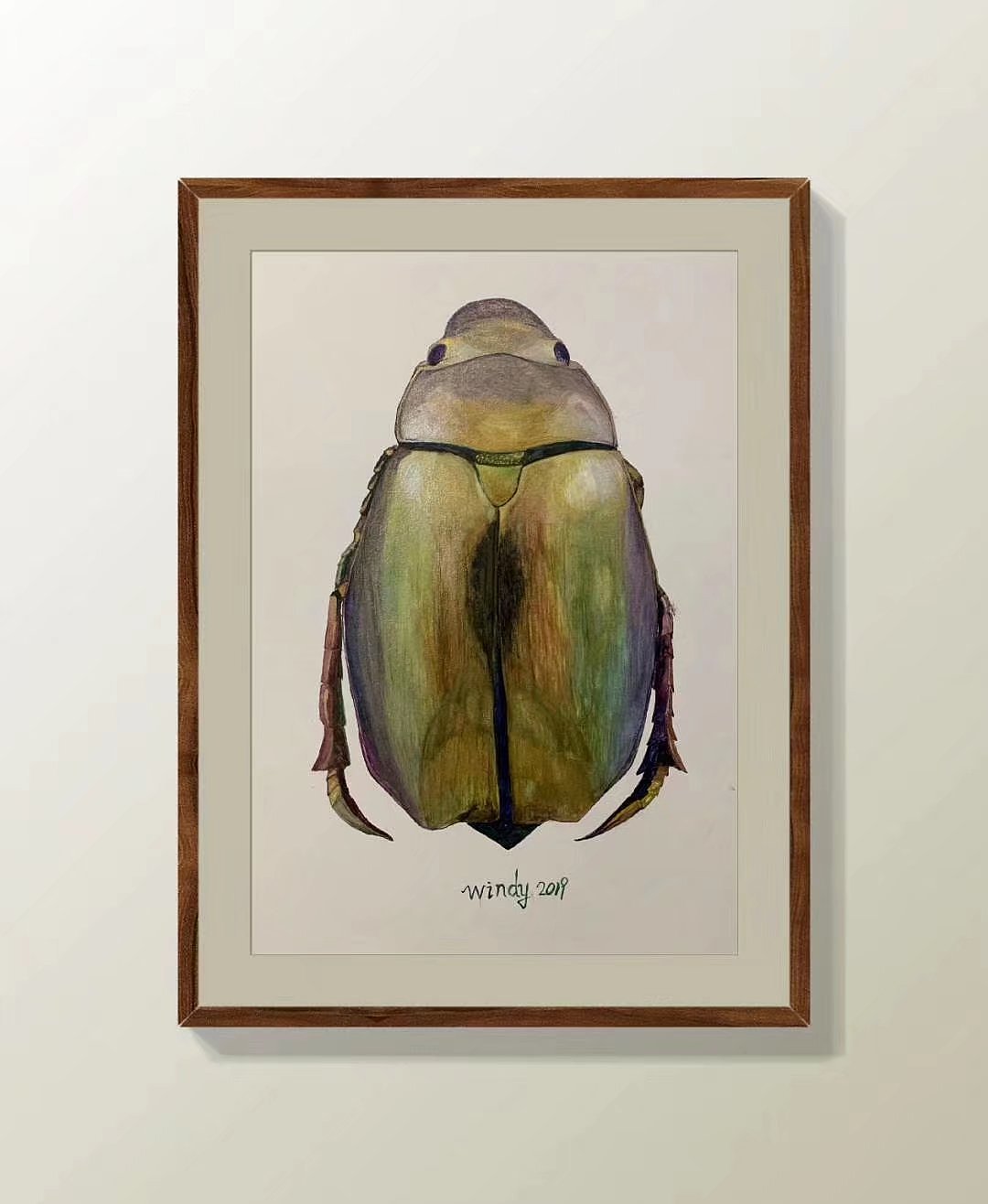 过去两年的部分写实合集