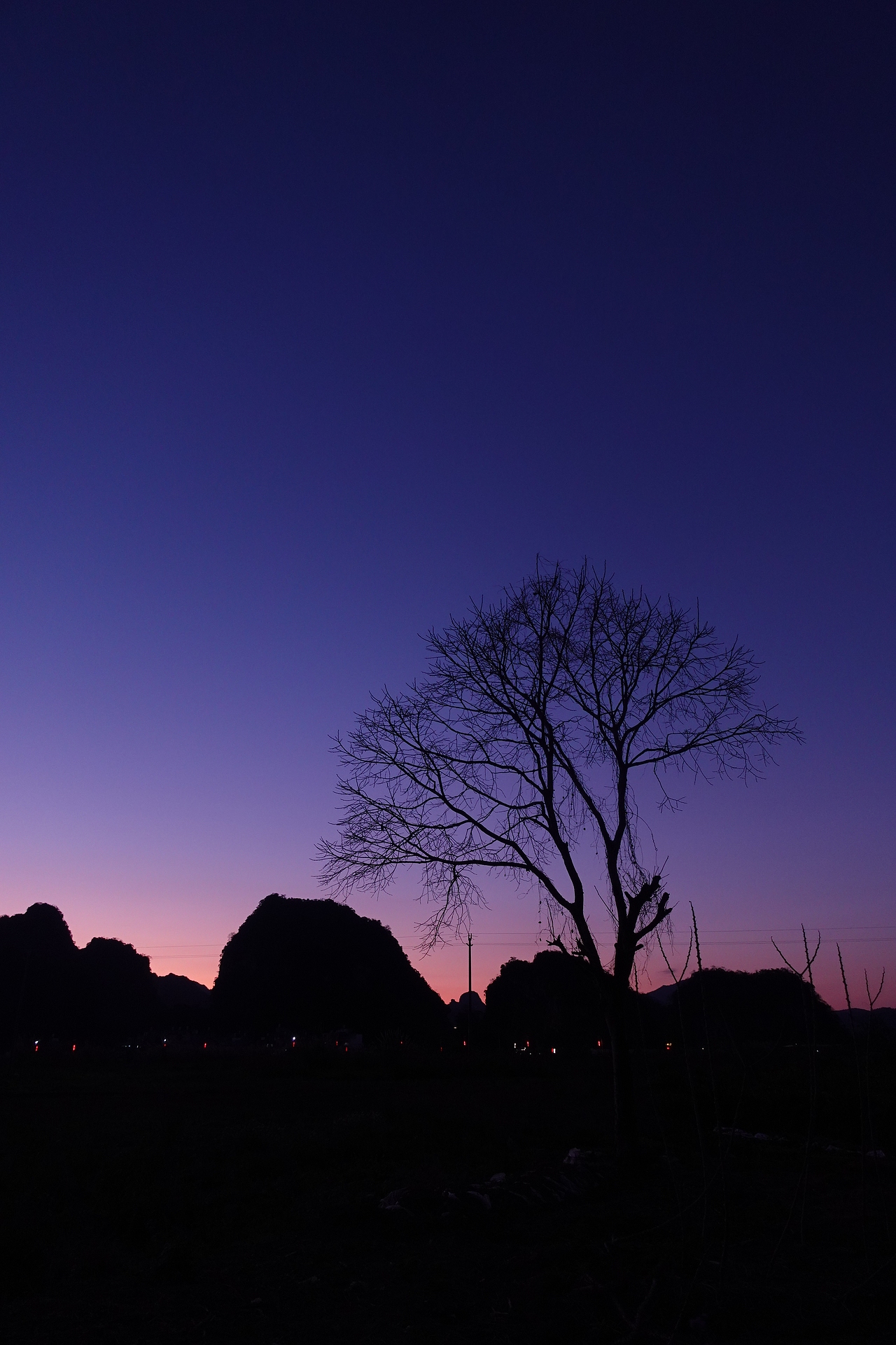 什么都拍,什么都不奇怪