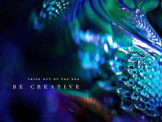 自由畅想For Free