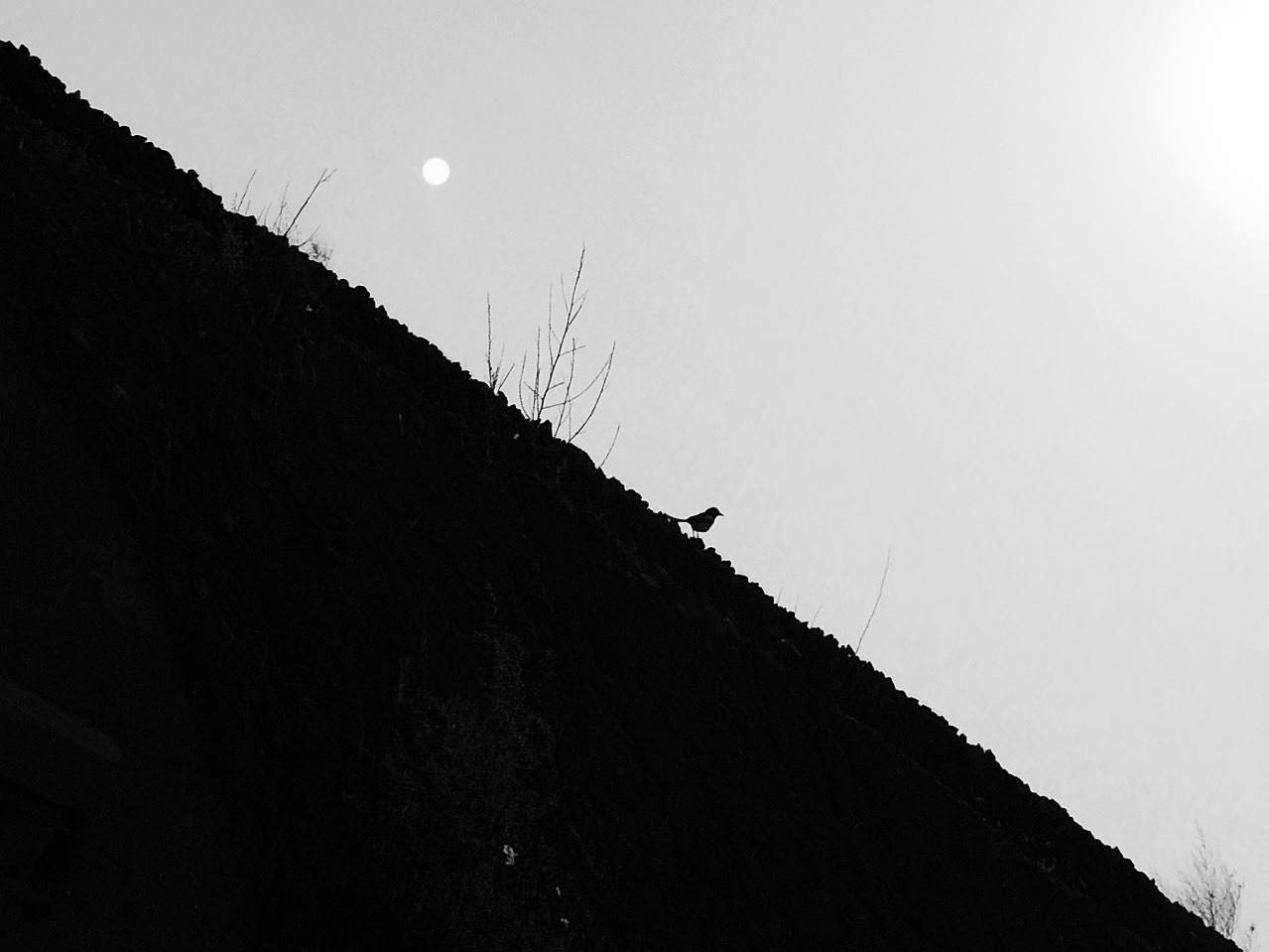 故乡（图ZMzExMjE3MzI=） - 风光摄影 - 站酷设计师王粤飞设计原创素材 - 站酷ZCOOL