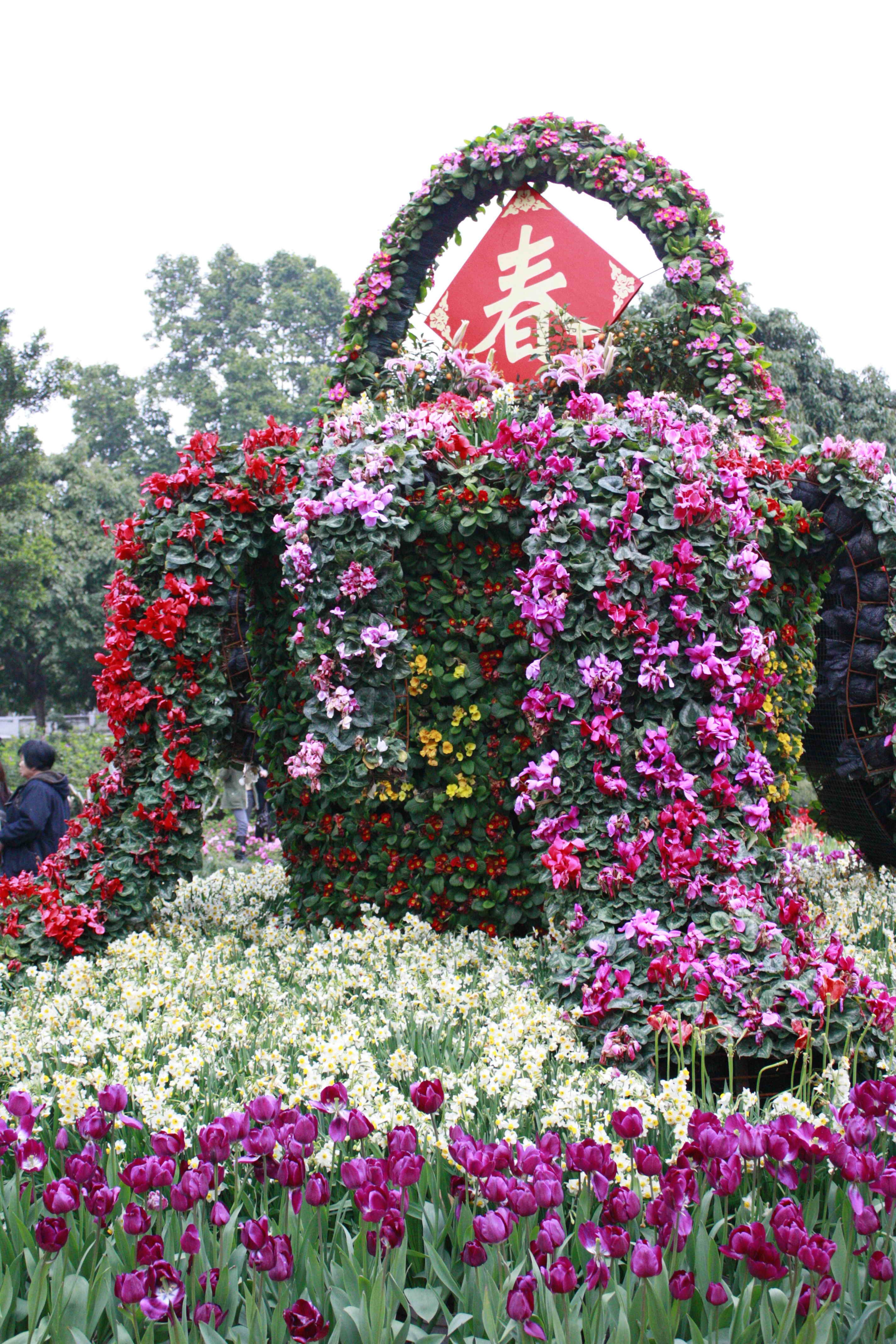 宁夏银川：花卉产业正“冬忙” _www.isenlin.cn